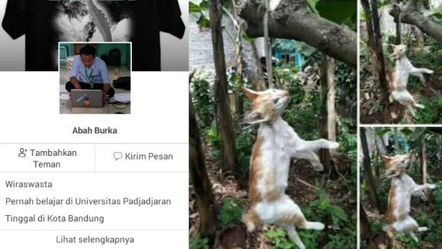  Pria Ini Gantung Kucing dan Memposting Foto Kekejamanya di Media Sosial