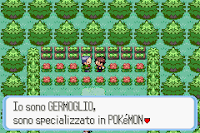 Pokemon Reliquia Gotica Screenshot 03