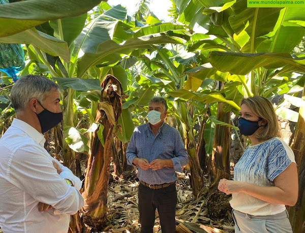 Agricultura y ASPA impulsan un proyecto para el ahorro de agua agrícola en La Palma