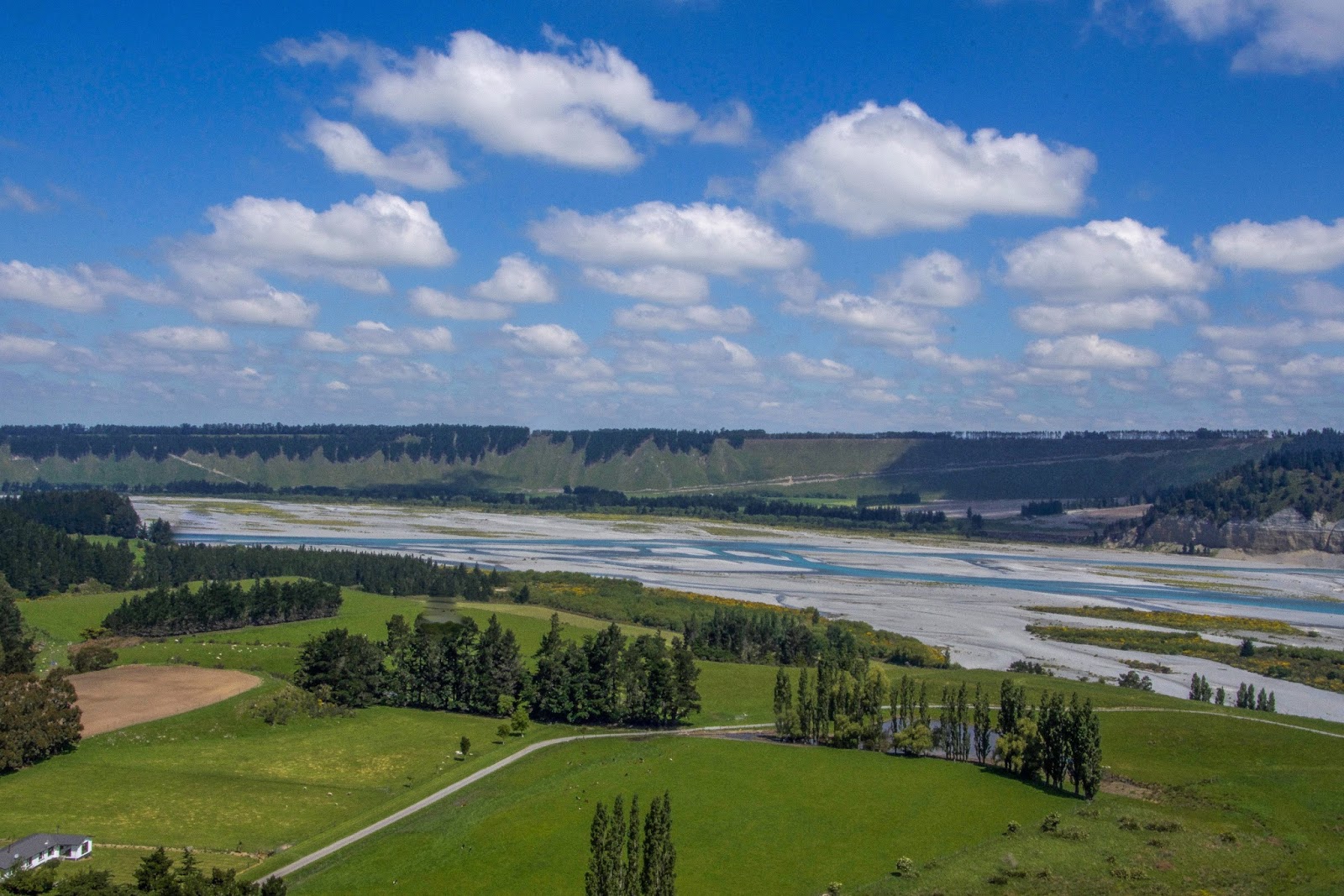 Paws Awhile Lake Coleridge & Village