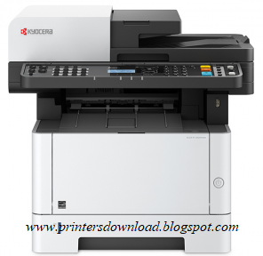 Printer Printer
