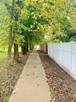 sidewalk bordered by fall leaves photo by mbgphoto
