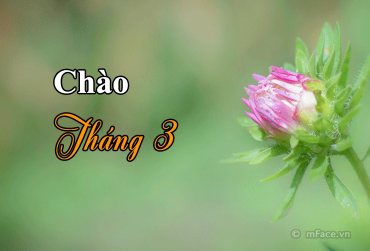 760 Hình Ảnh Chào Mừng Đẹp Bá Đạo Sáng Tạo Tuyệt Vời