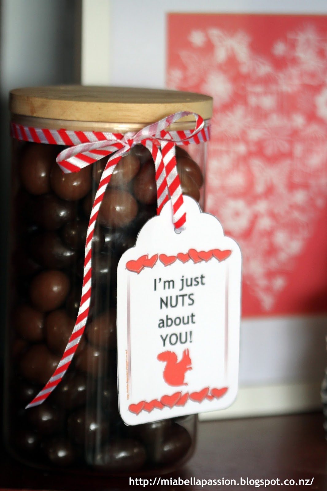 Mia Bella Passions 'NUTS about YOU' Valentine Gift Idea.