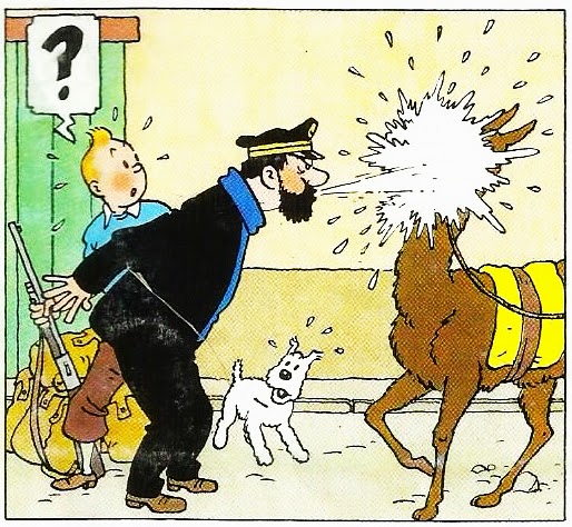 Captain Haddock Reactions