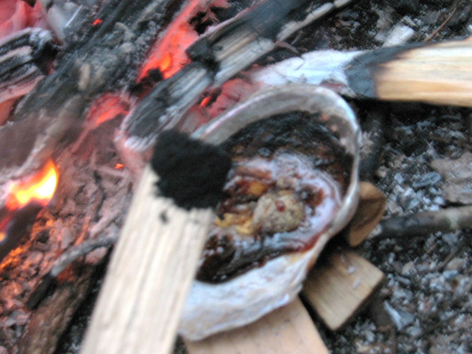 Sensible Survival How to Make Pine Pitch Glue
