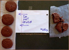 Fly on the Wall: don't touch the cookies | www.BakingInATornado.com | #family #humor