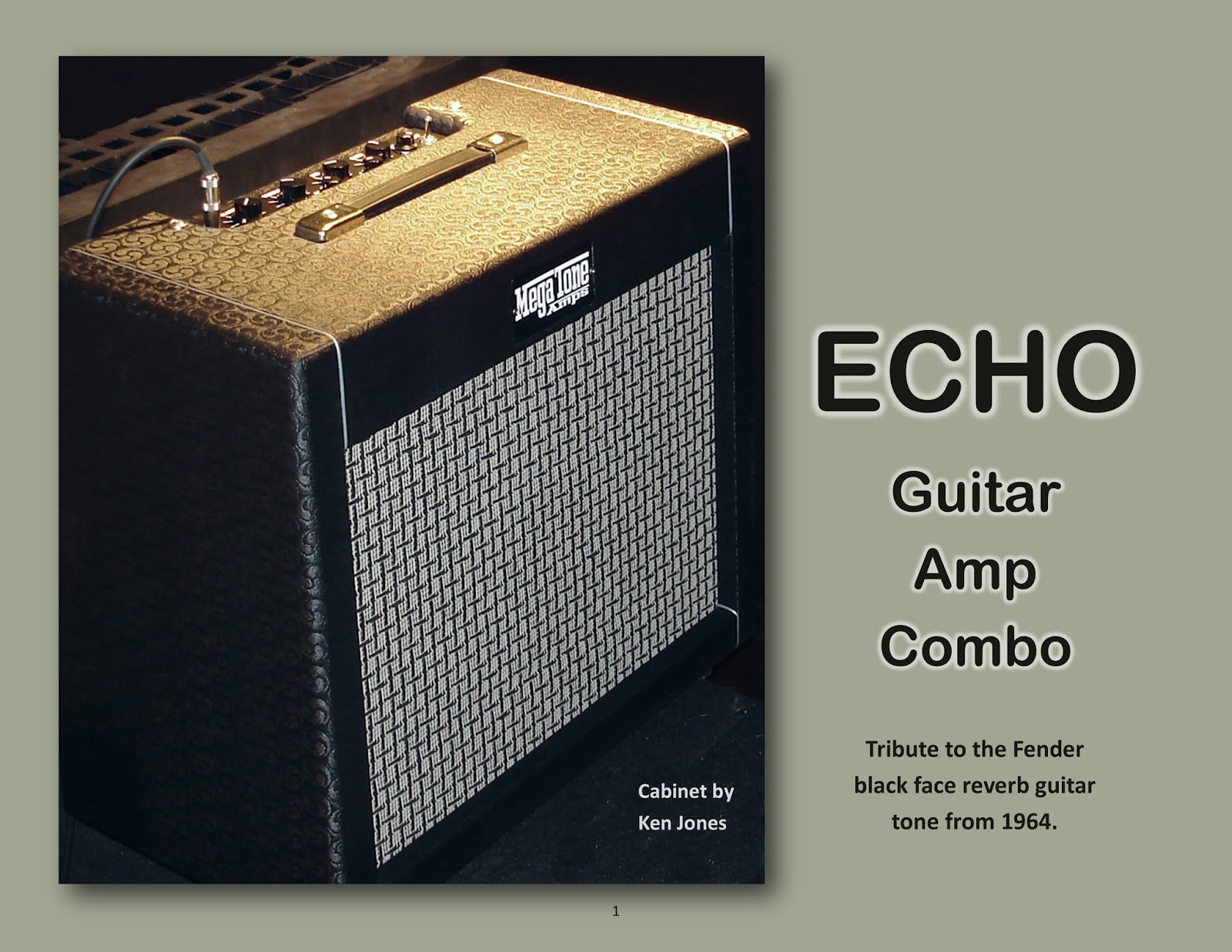 ECHO TRIBUTE AMP
