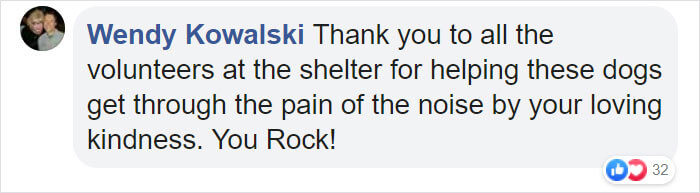 People Skipped The Fireworks On July 4th To Comfort Frightened Shelter Dogs People Skipped The Fireworks On July 4th To Comfort Frightened Shelter Dogs