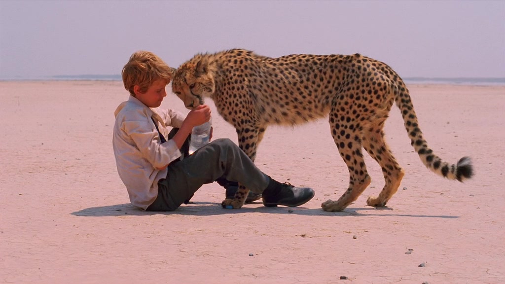 Duma 2005. Мысли о свободе 2005. Гепард и человек. Мысли о свободе -duma (2005) гепард. Кэмпбелл скотт с семьей.