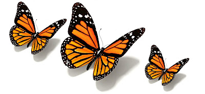 أجÙ
Ù ØµÙØ± Ù Ø®ÙÙÙØ§Øª اÙÙØ±Ø§Ø´Ø§Øª Butterfly Wallpapers Ù
عÙÙÙ
ات Ù ØµÙØ± ÙØ±Ø§Ø´Ø§Øª Butterflies أجÙ
Ù ØµÙØ± Ù Ø®ÙÙÙØ§Øª اÙÙØ±Ø§Ø´Ø§Øª Butterfly Wallpapers Ù
عÙÙÙ
ات Ù ØµÙØ± ÙØ±Ø§Ø´Ø§Øª Butterflies