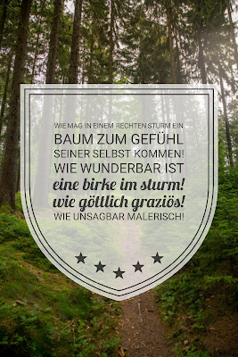 Die 50 besten Zitate zu den Themen Wald und Bäume | Waldzitate | Baumzitate | Naturzitate | Zitate-Wald | Inspirierende-Zitate