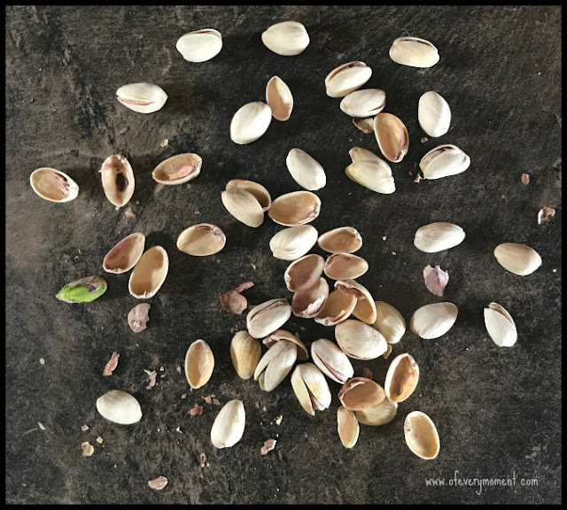scattered, partially shelled pistachios