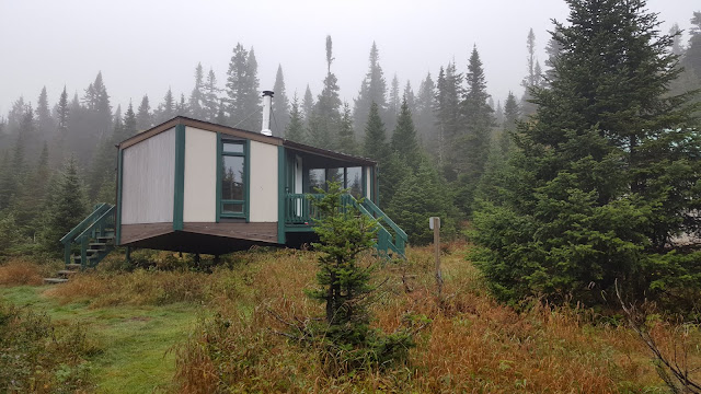 Refuge de la mésange