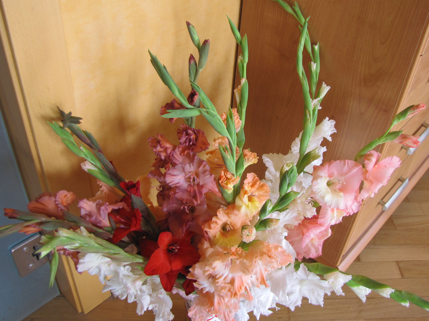 Букет гладиолусов 2022. Шикарный букет из гладиолусов. Букет гладиолусов. Ветка гладиолуса. Букет с гладиолусами.