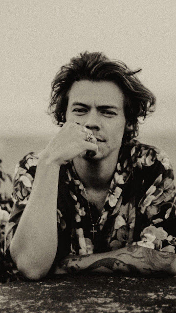 tumblr harry styles wallpaper