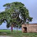 Saidujjaman Durjoy