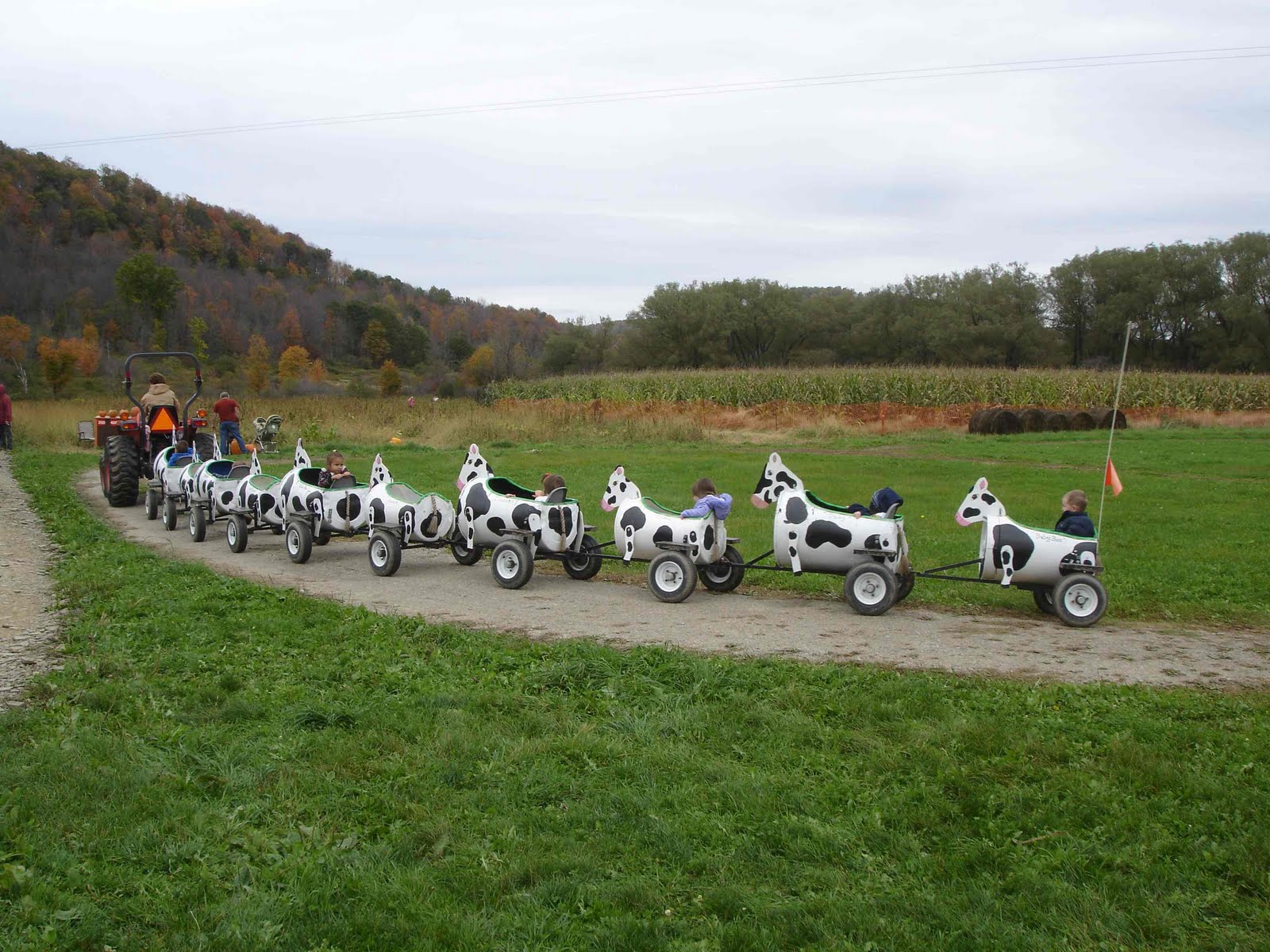 Rusted WindmillRelax, Play and Getaway in Ellicottville, NY