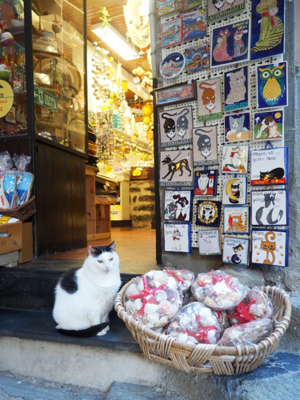 porto venere shop cat