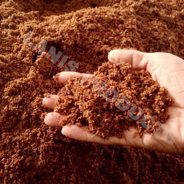 Which is best, Coco Coir or Soil?