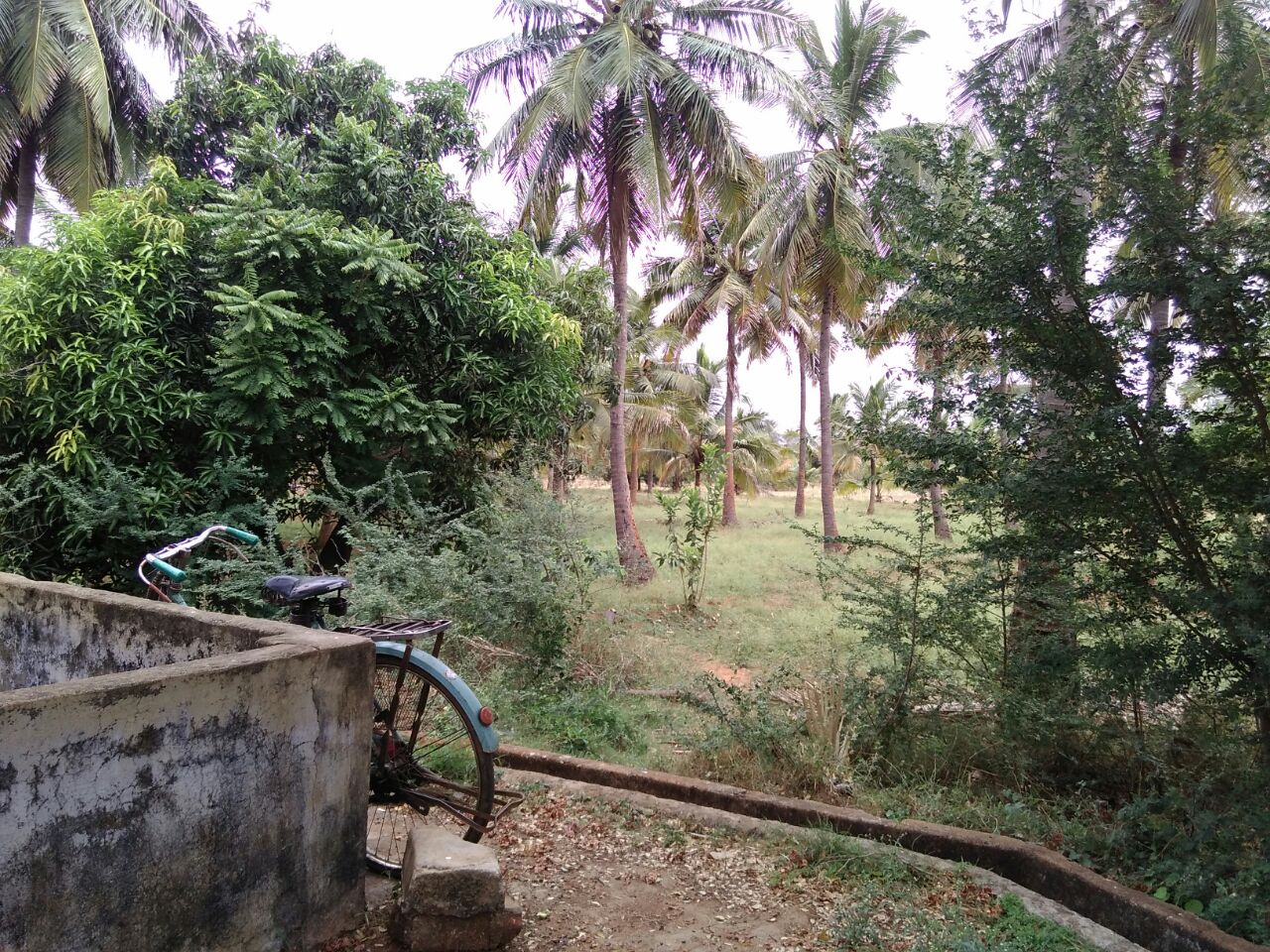 Agricultural Land Developer And Promoter Tamil Nadu Agriculture land