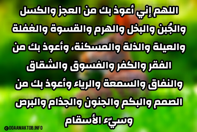 دعاء تحصين النفس اللهم إني أعوذ بك من العجز والكسل