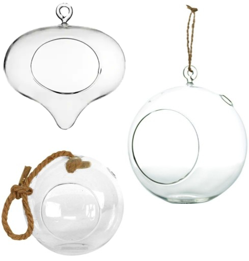 Hanging Glass Globe Terrariums