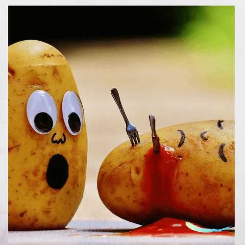 4 choses à mettre en esprit tout en suivant le régime pauvre en glucides 4 choses à mettre en esprit tout en suivant le régime pauvre en glucides