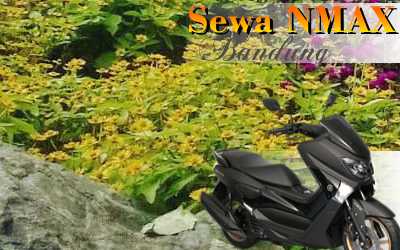 Rental sepeda motor N-Max Jl. SGR Kencana Utama Bandung