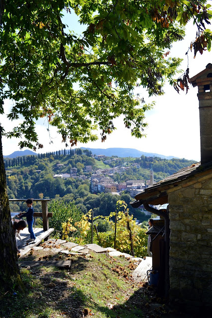 festa dei marroni combai