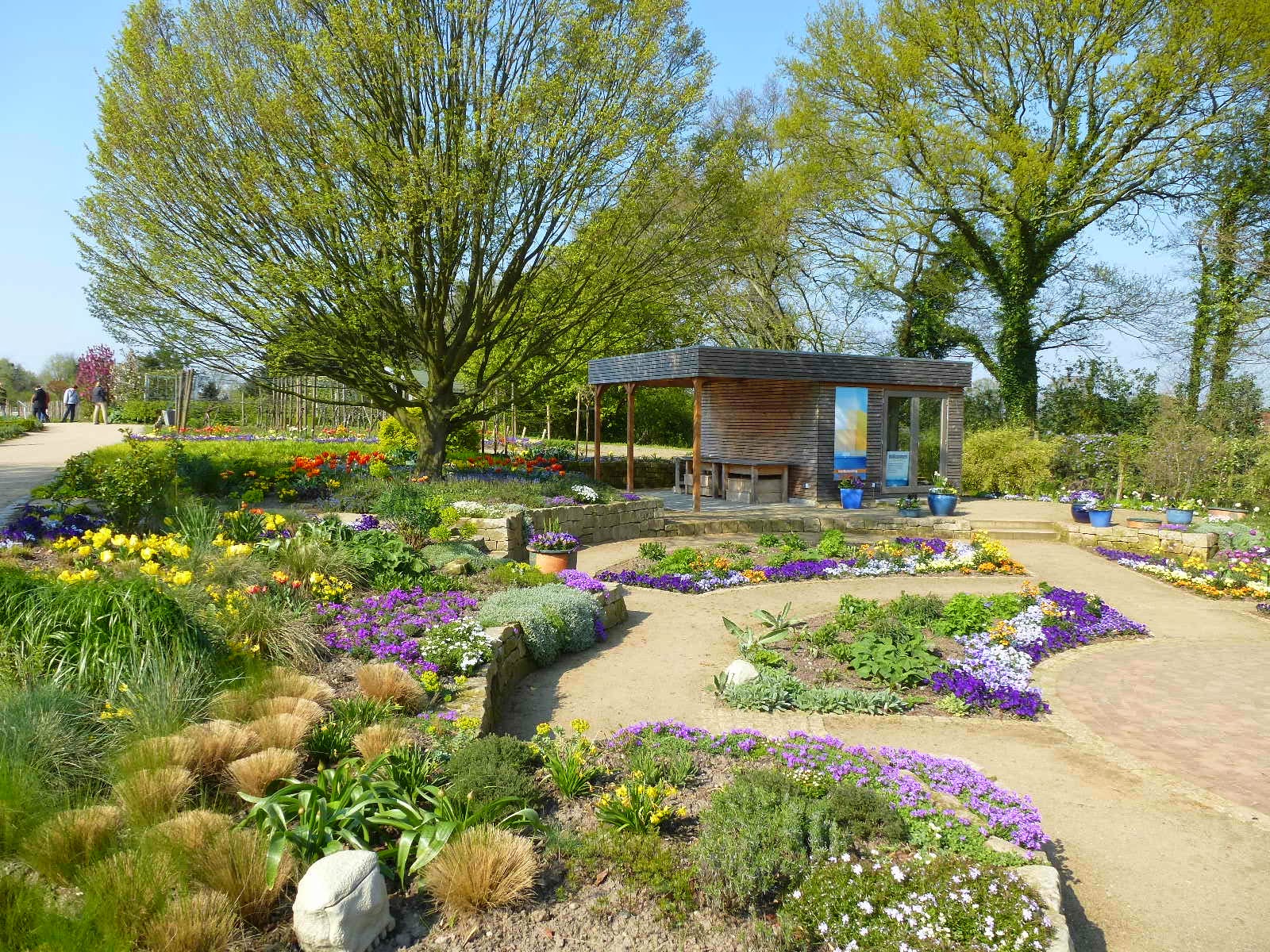 MikesSeite.de Arboretum EllerhoopThiensen