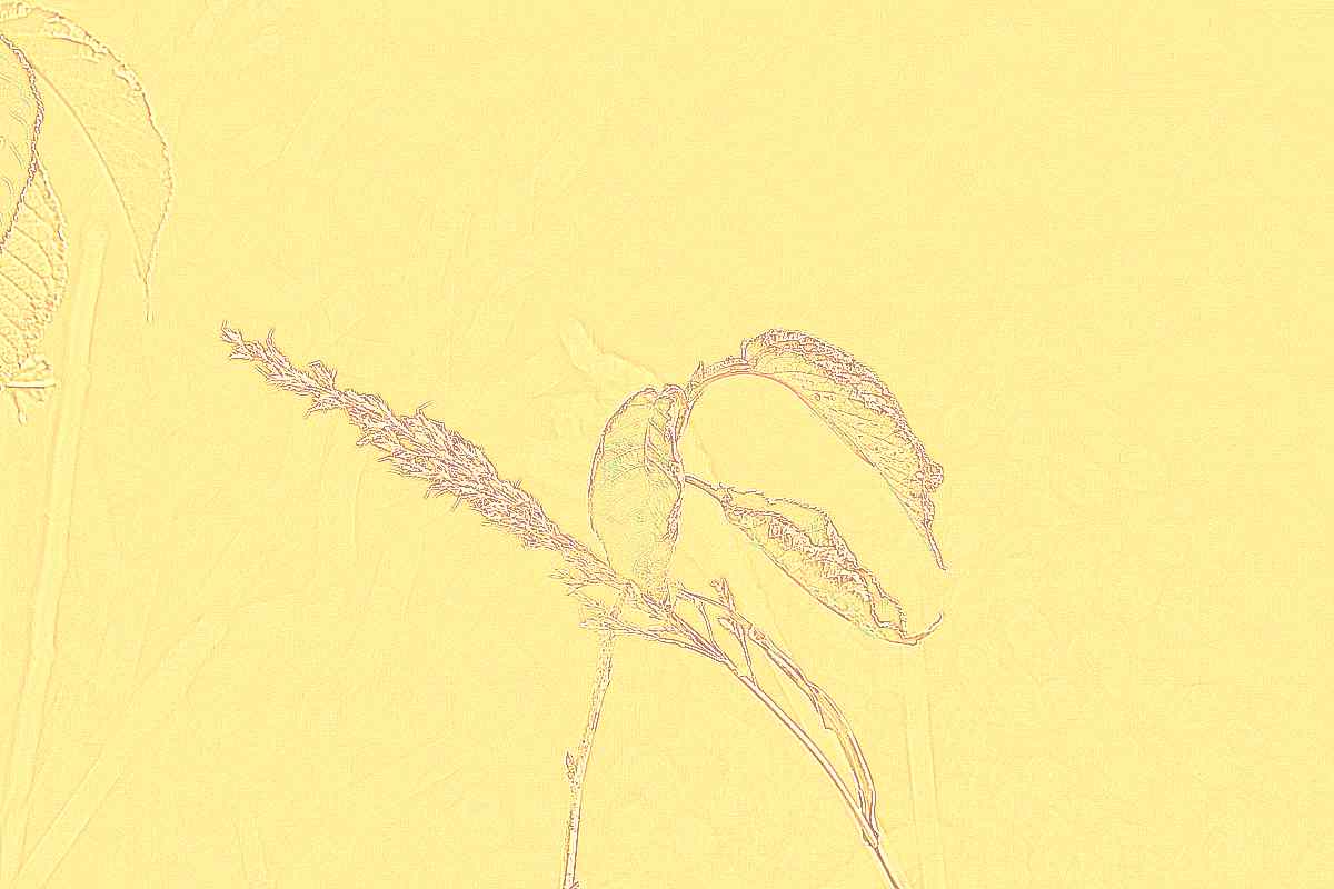 화순 영구산 운주사 화순 영구산 운주사