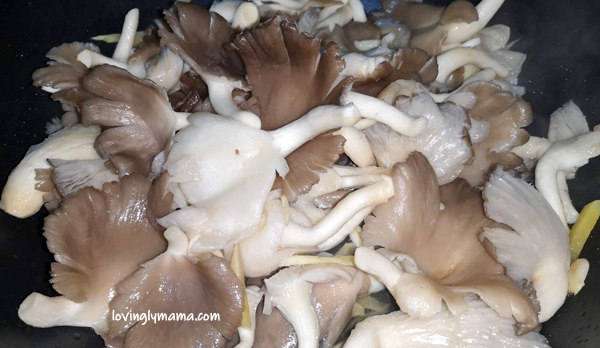 Bacolod blogger, Bacolod mommy blogger, mushrooms, wild mushrooms, wild oyster mushrooms, oyster mushrooms, health benefits of mushrooms, health benefits of oyster mushrooms, shabu-shabu ingredient, hotpot ingredient, from my kitchen, steamed mushrooms, mushrooms and ginger, homecooking, childhood memories, childhood adventures, grandparents, paternal grandparents, family, family meal times, family meals, lunch, steamed rice, stir fry recipe, Bacolod City, mushroom supplier in Bacolod, Bacolod mushroom supplier, cultured mushrooms, medicinal mushrooms, mushrooms