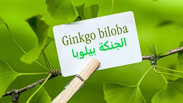 علاج تساقط الشعر,تساقط الشعر,التخلص من تساقط الشعر,تساقط الشعر وعلاجه,علاج تساقط الشعر الشديد,طرق علاج تساقط الشعر,علاج تساقط الشعر عند النساء,لتساقط الشعر,علاج تساقط الشعر نهائيا,تساقط الشعر للنساء,علاج تساقط الشعر الوراثي,علاج تساقط الشعر بعد الولادة,منع تساقط الشعر,لمنع تساقط الشعر,حل تساقط الشعر,تكثيف الشعر,أسباب تساقط الشعر,تكثيف ومنع تساقط الشعر,تساقط الشعر عند البنات,الحد من تساقط الشعر,علاج مشكلة تساقط الشعر,الشعر,تساقط الشعر في المنام أفضل 10 مكملات غذائية طبيعية للحد من تساقط الشعر