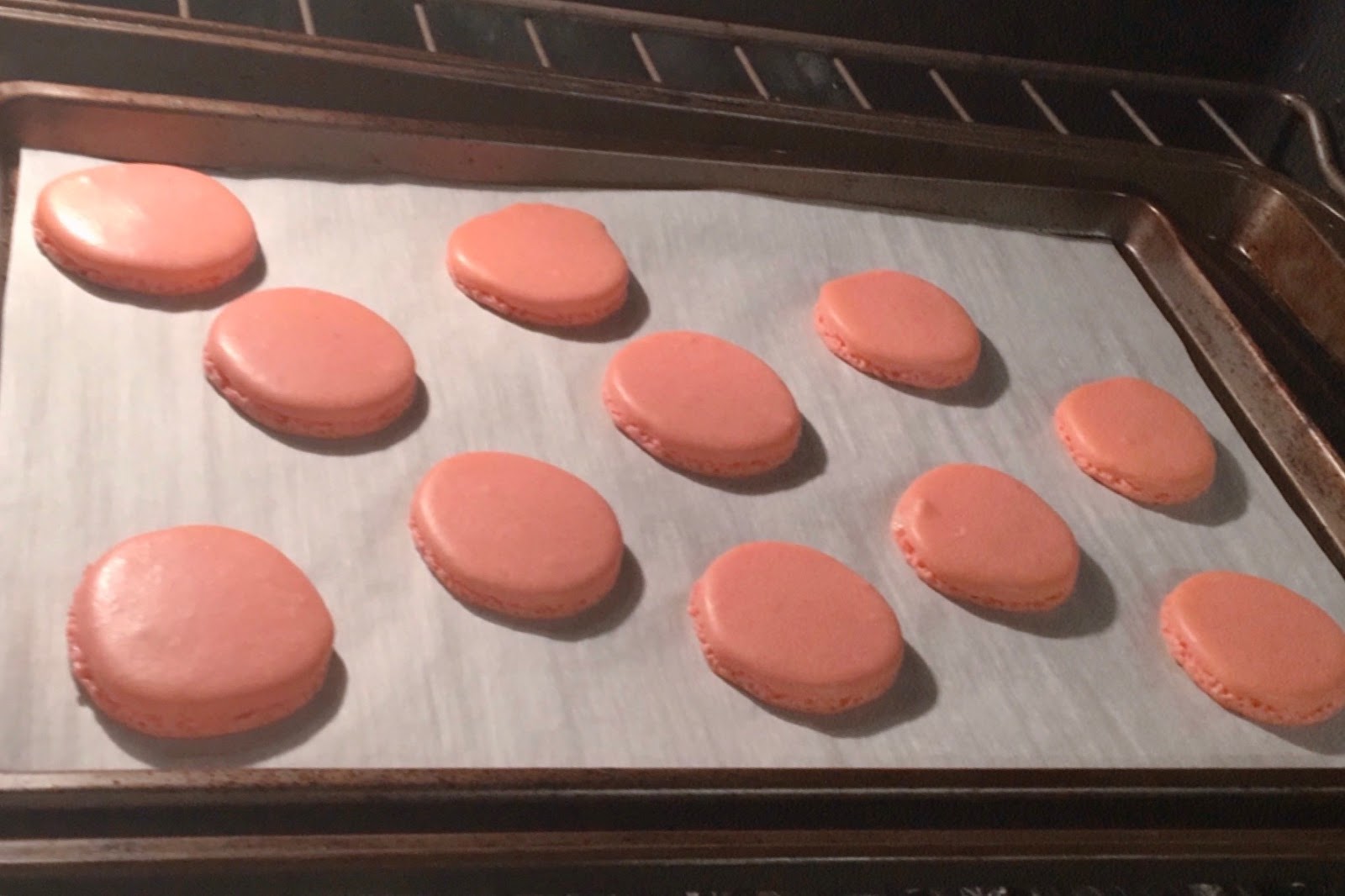 Not Exactly Plain Jane The Ultimate Baking Feat French Macaron Recipe