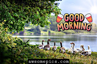 Good Morning Images With Nature Free Download