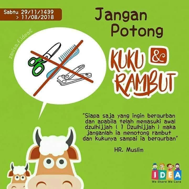 Jangan Potong Kuku Rambut Sentraaqiqahlampung
