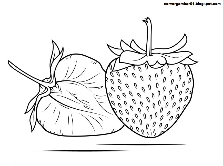 15+ Gambar sketsa Strawberry