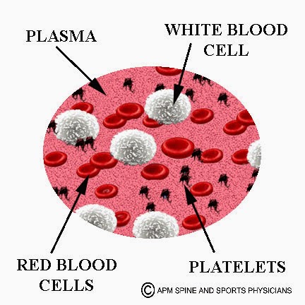 Mrs. Bargamian's Blog-Room 28: March 2015