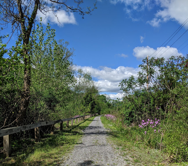 Cameron County PA News West Creek Rails Trails Hosting Runs August 8 and 9