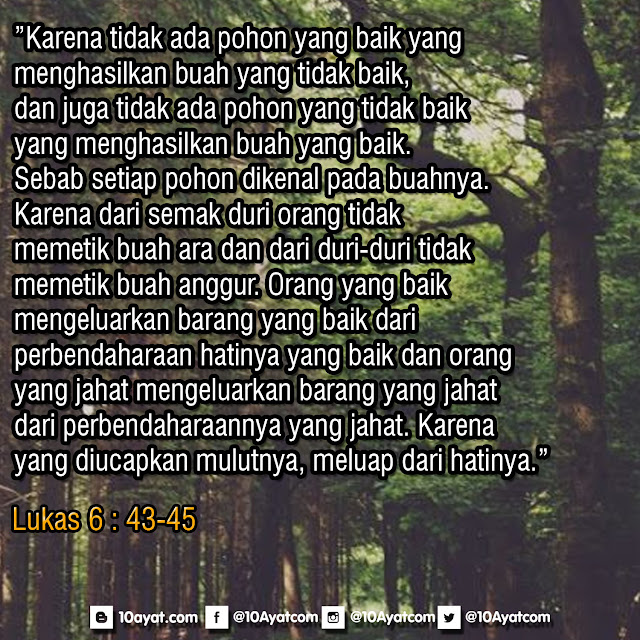 Lukas%2B6%2B %2B43 45