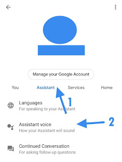 Cara Mengganti Suara Asisten Google