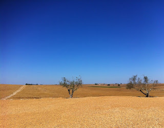 World to Combat Desertification and Drought