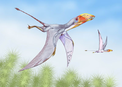 Dimorphodon