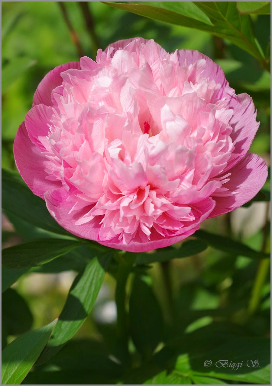 Inselreport De Auf Unbekannten Pfaden Unterwegs