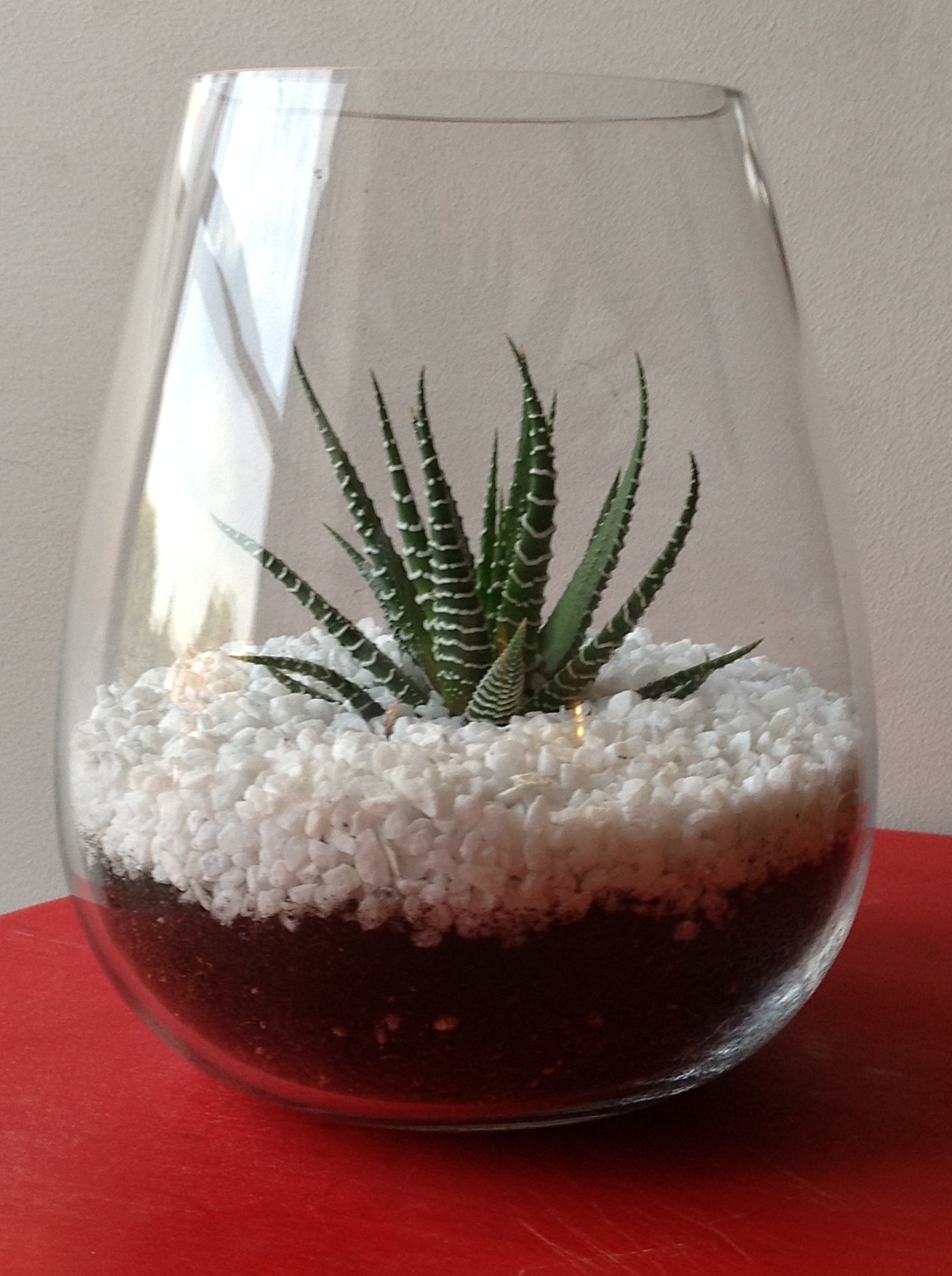 DIY easy and simple terrarium ~ easy arts and crafts ideas