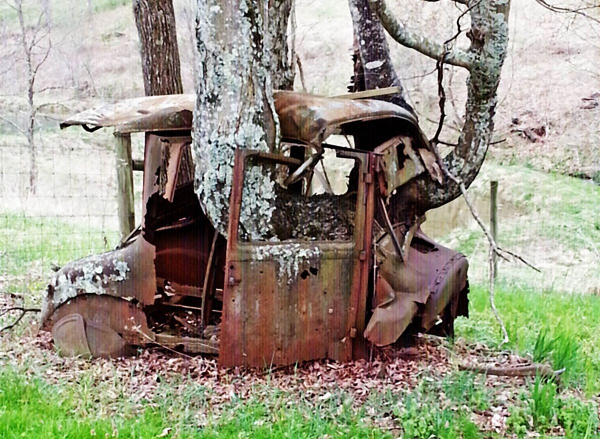 22 Amazing Photographs of Trees Growing Through Classic Cars Vintage