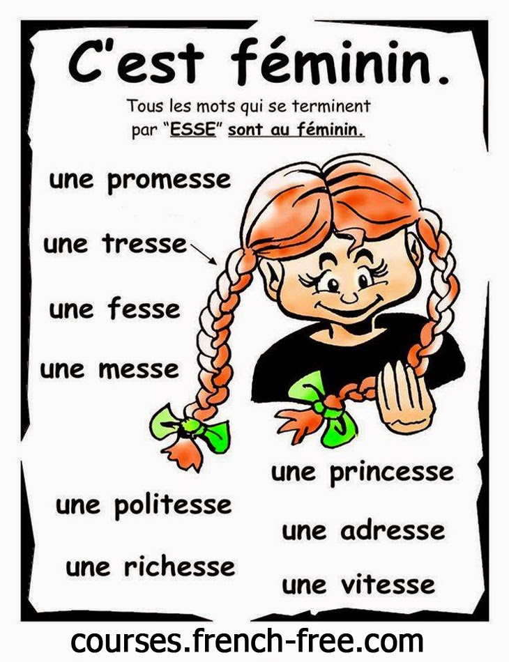المؤنث في اللغة الفرنسية (قاعدة هامة) le féminin en français 36