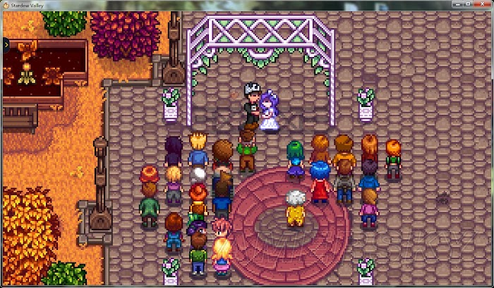 星露谷物語 (Stardew Valley) 阿比蓋爾刷好感、結婚、生子流程圖文教學