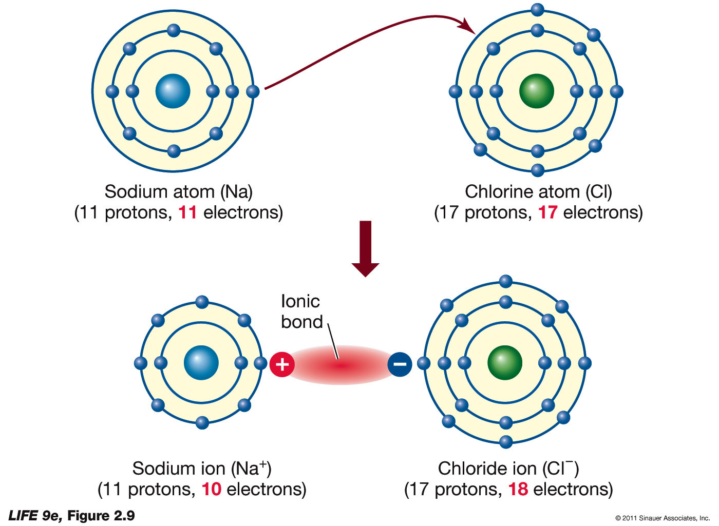 Ionic Bonding Diagram